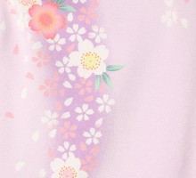 先生 レンタル袴 紫ぼかし桜柄の卒業式袴フルセット(パープル系)|卒業袴(普通サイズ)