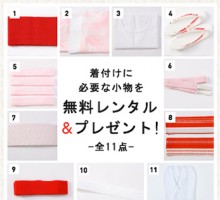 JAPAN STYLE|レトロ鶴文様の卒業式袴フルセット(白系)|卒業袴(普通サイズ)