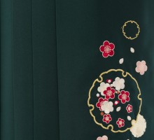 レンタル袴|153～158cm|レトロ椿|袴セット|卒業式袴フルセット(白系)|卒業袴(普通サイズ)