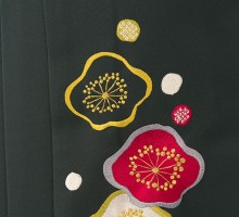 レンタル袴|148～153cm|袴セット|卒業式袴フルセット(グリーン系)|卒業袴(普通サイズ)