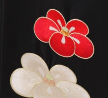 emma×紅一点　椿に矢絣柄の卒業式袴フルセット(クリーム抹茶系)|卒業袴小さいサイズ(スモール)